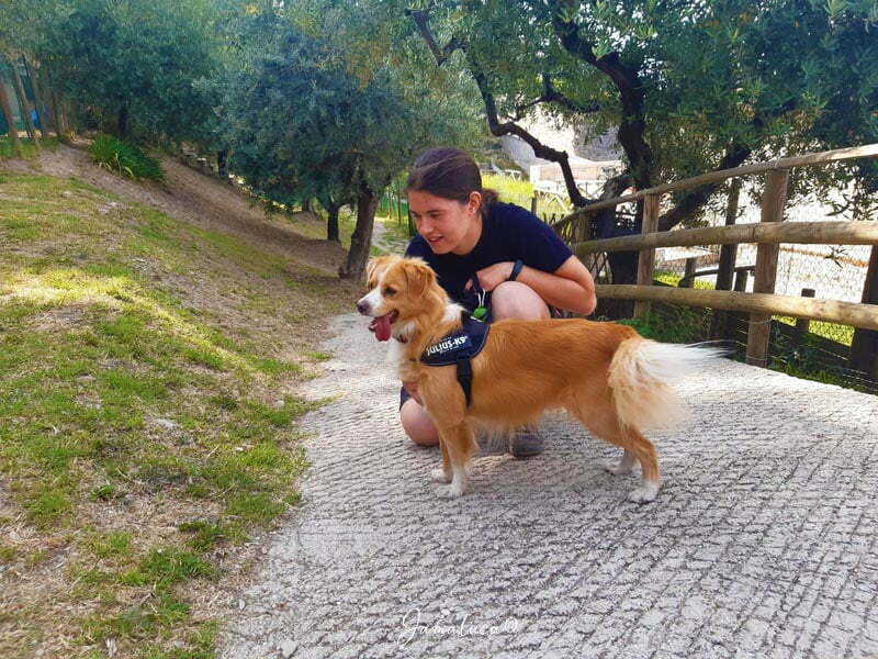 Assisi con il cane - Dog sitter Giada e Francesca