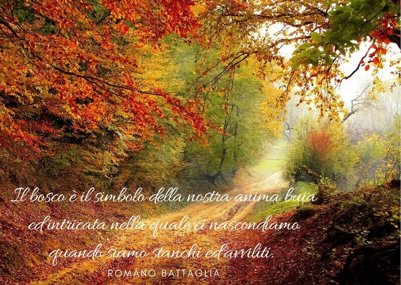 Frasi e citazioni bosco