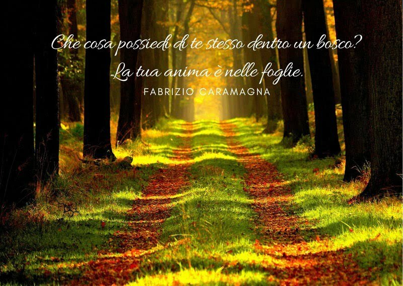 Frasi e citazioni bosco